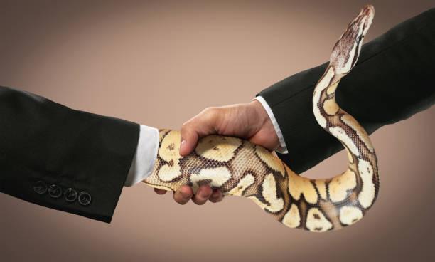 Meaning of Dreaming About a Staff Turning Into a Snake - Spiritual Perspective