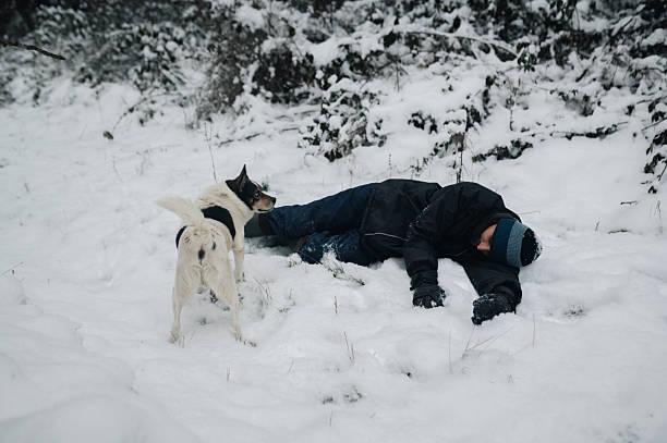 Dreaming About a Dog Attacking You: Spiritual Significance